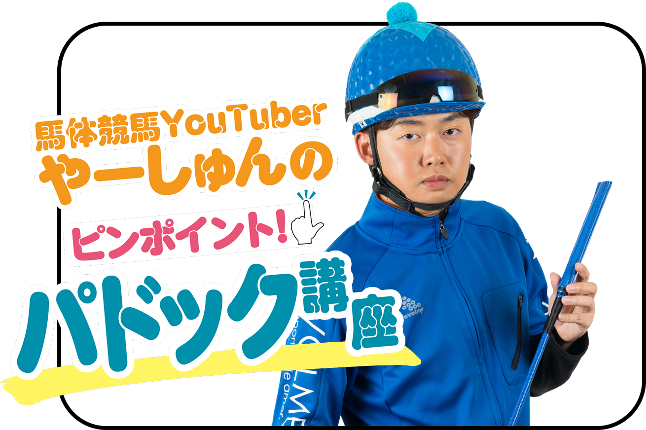 ケイシュウNEWS記者 若林幹治の小向ピックアップホースマン